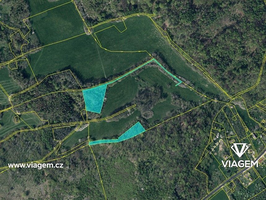 Les · Veselé, okres Děčín, Ústecký kraj - 3