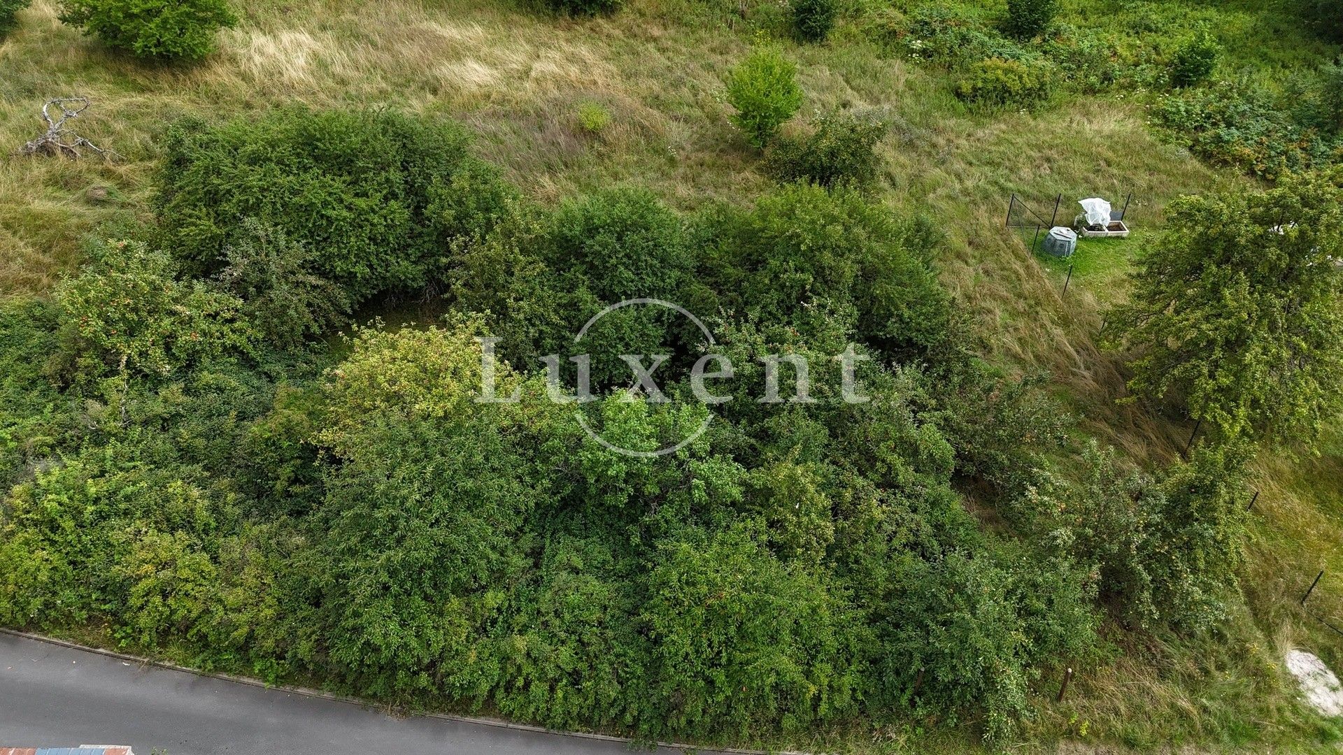 Prodej pozemek pro bydlení - Sadov