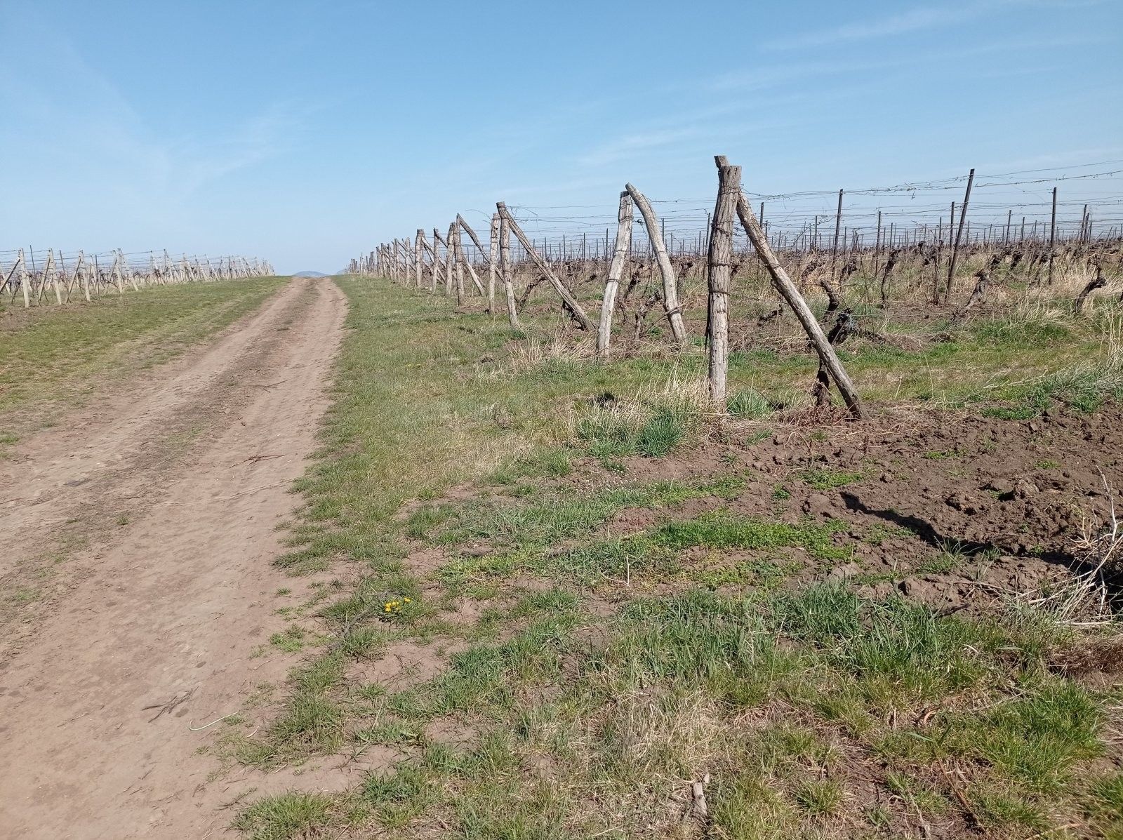 Prodej pozemek - Valtice Úvaly, 7 078 m² - 5