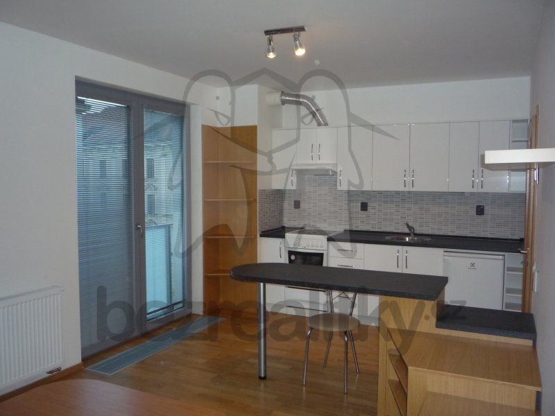 1+kk, Drahobejlova, Praha - Libeň, 31 m² - 1
