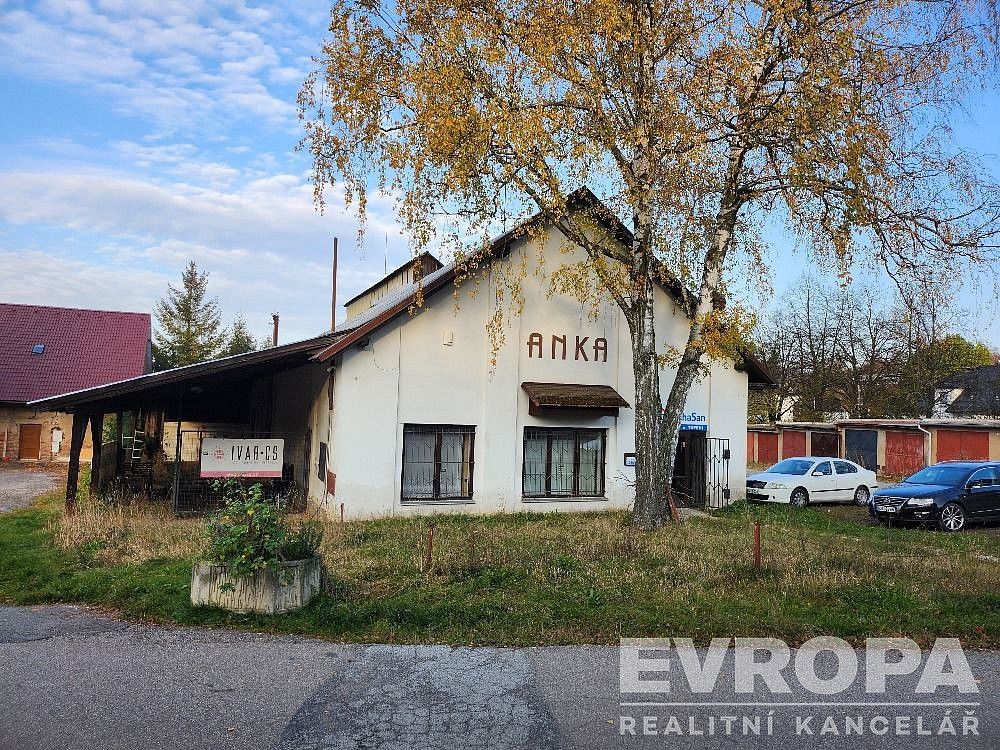 Obchodní prostory, Havlíčkův Brod, Kraj Vysočina, 650 m² - 1