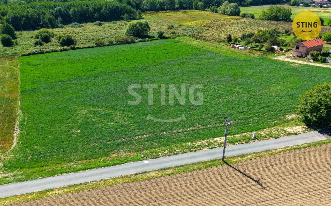 Ostatní