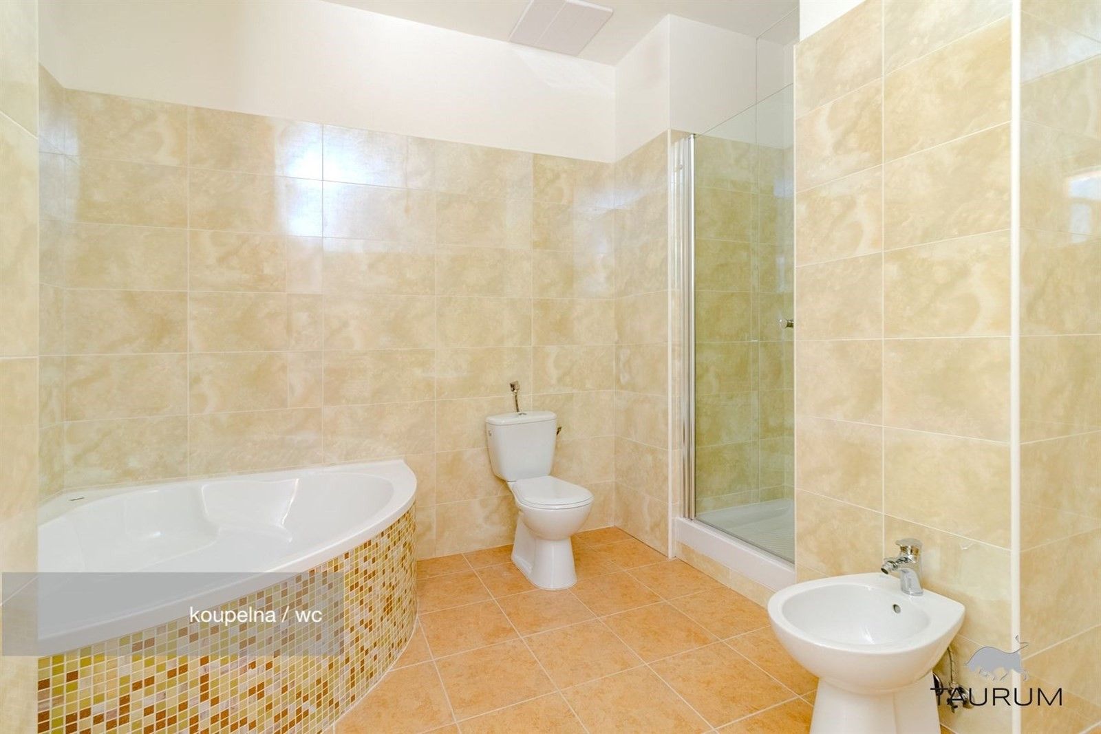 2+1, Rozvojová zóna, Janovice nad Úhlavou, 74 m²