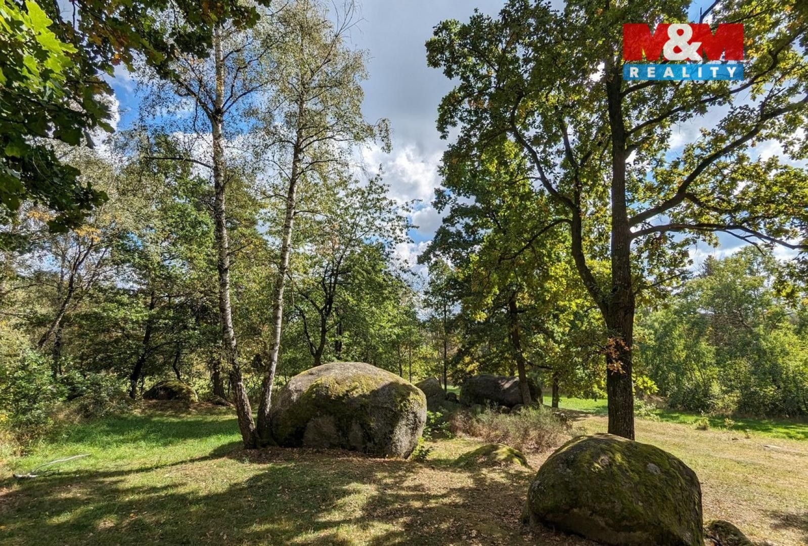 Prodej les - Žemličkova Lhota, Petrovice