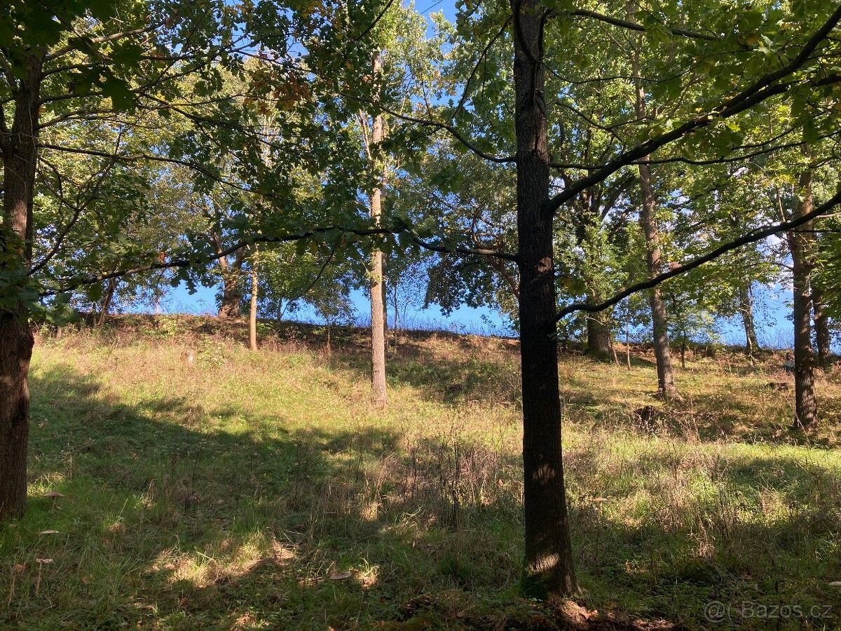 Zahrady, Chřešťovice, 398 17 - 2