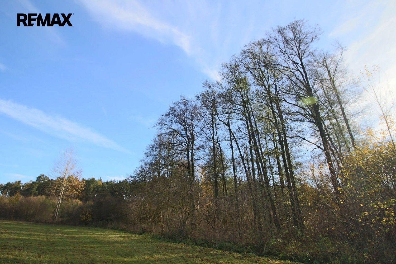 Prodej les - Břežany, okres Klatovy, Plzeňský kraj - 2