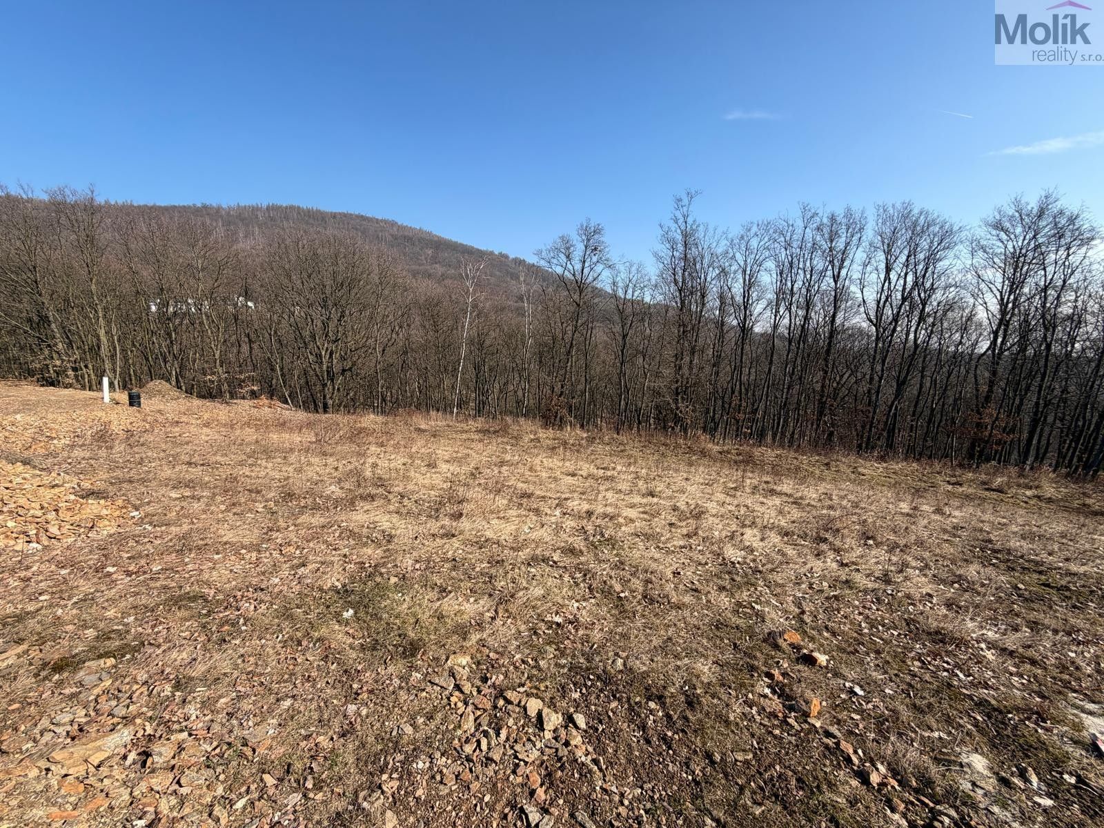 Prodej pozemek pro bydlení - Loučná, Lom, 2 648 m²