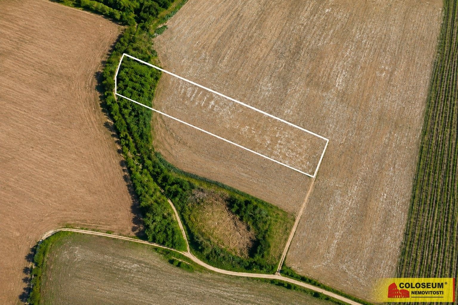 Zemědělské pozemky, Dyje - 2