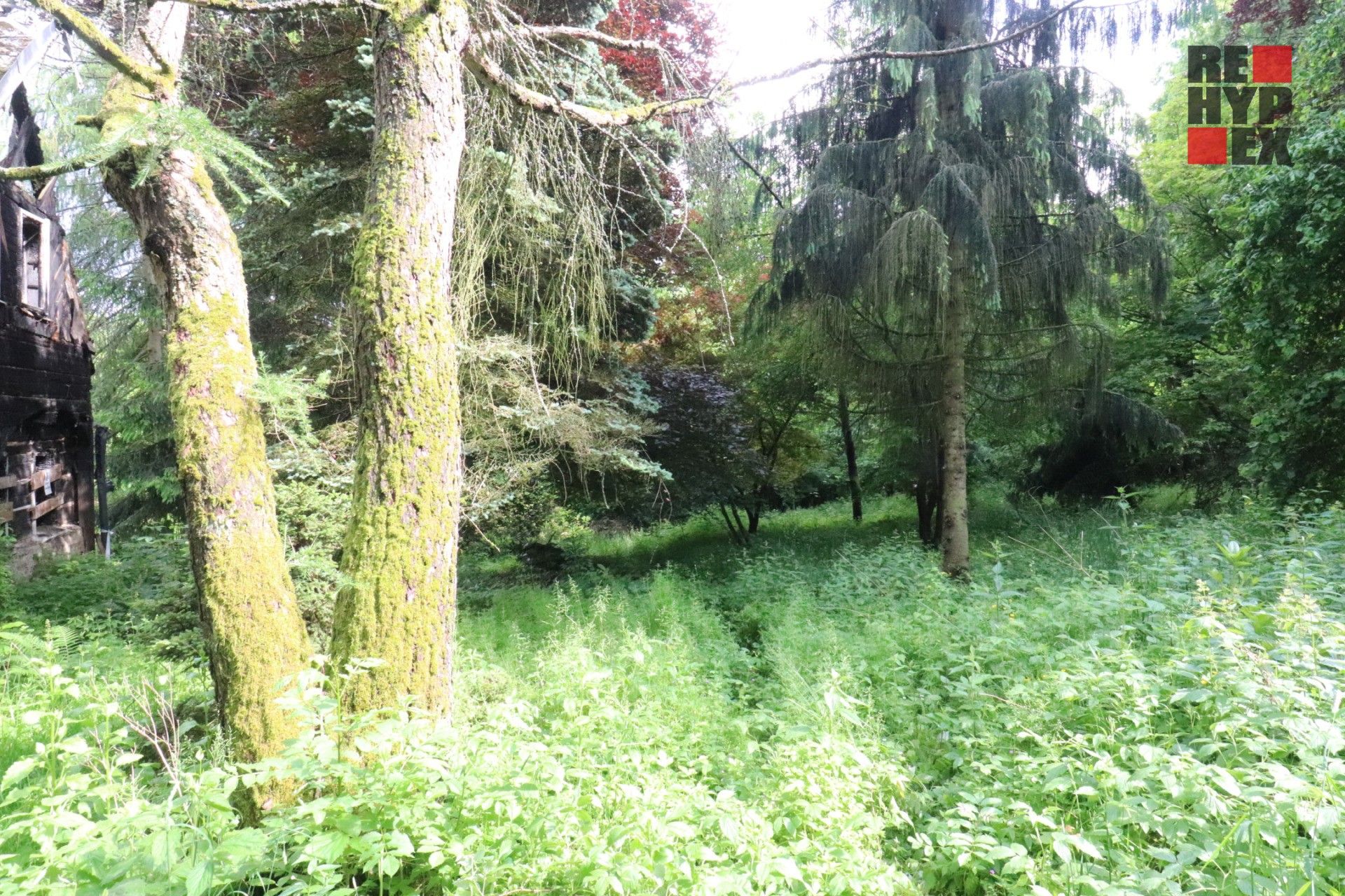 Prodej rodinný dům - Havlíčkova, Nový Bor, 138 m²