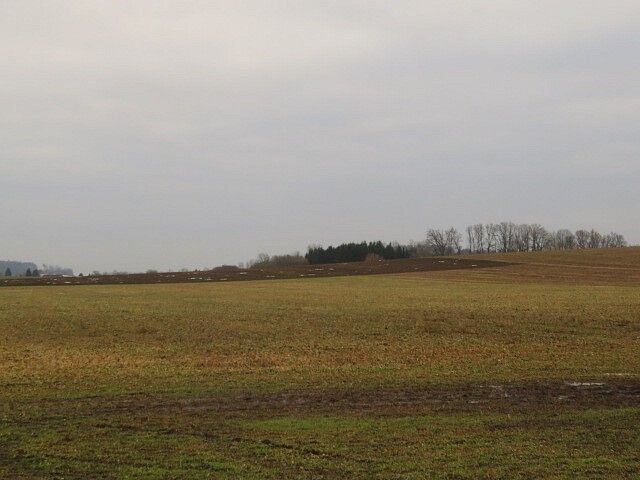 Louka · Račice nad Trotinou - 4