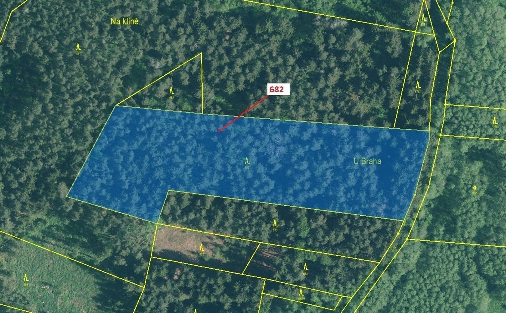 Lesy, Kuřimany, okres Strakonice, Jihočeský kraj - 2
