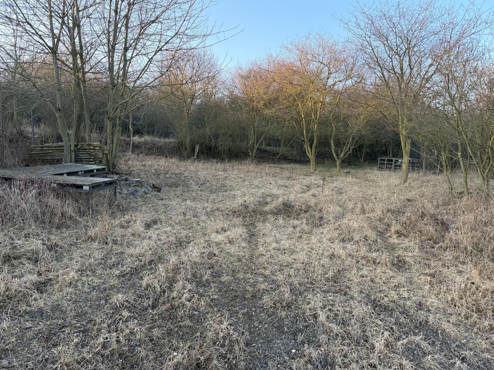 Zahrady, Předměstí, Litoměřice, 3 183 m²