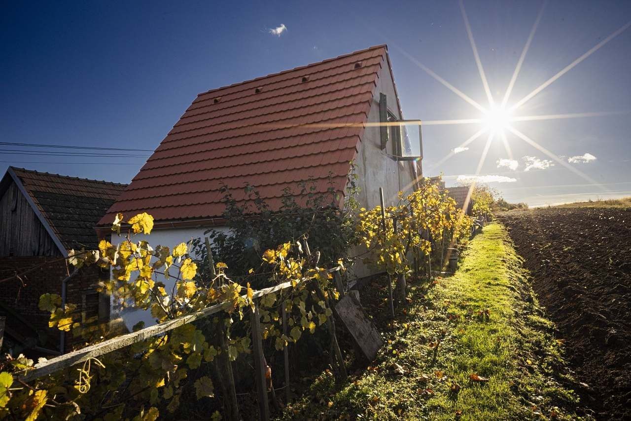 Chaty, Moravany u Kyjova, Jihomoravský kraj - 2