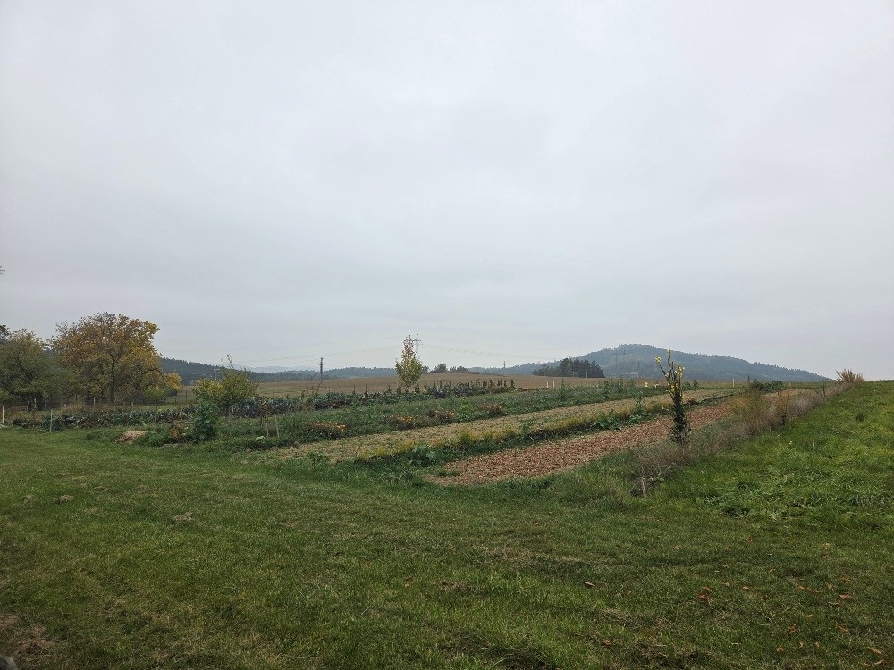 Prodej rodinný dům - Nepomuk, 335 01 - 5