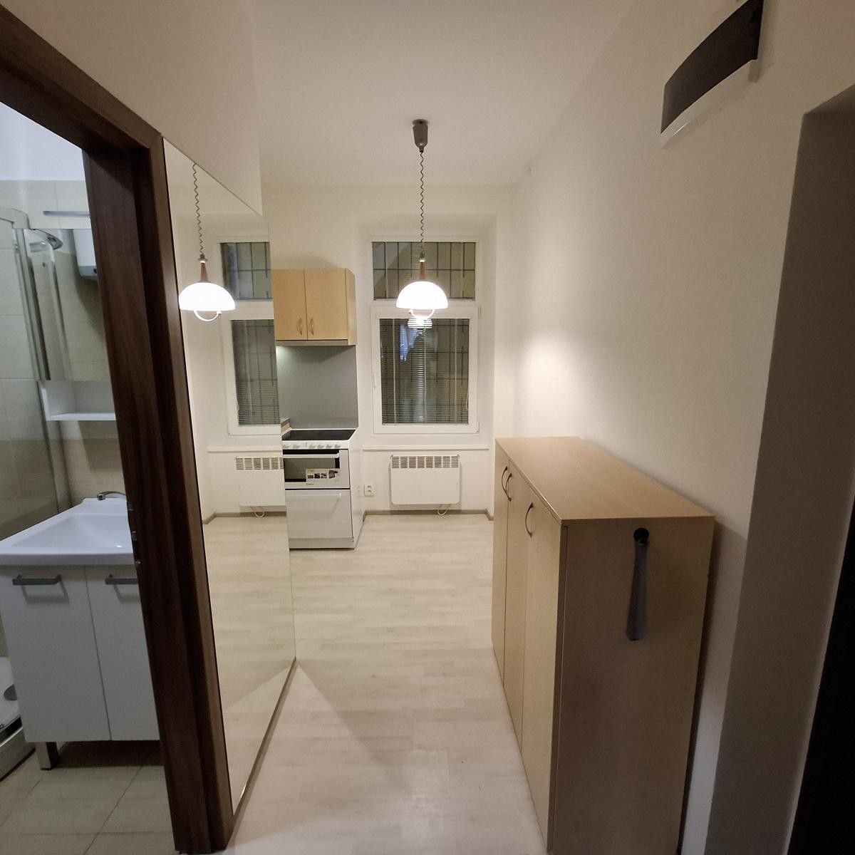 Pronájem byt 1+1 - Svitavská, Brno, 31 m²