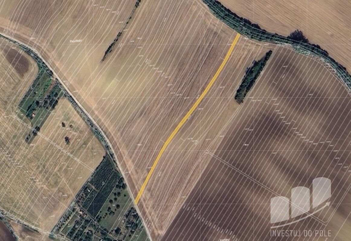 Prodej zemědělský pozemek - Svatobořice, Svatobořice-Mistřín