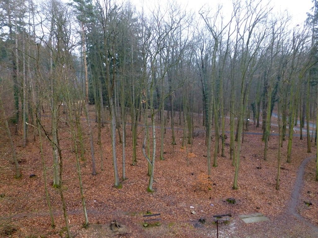 Pronájem byt - Písek, 397 01