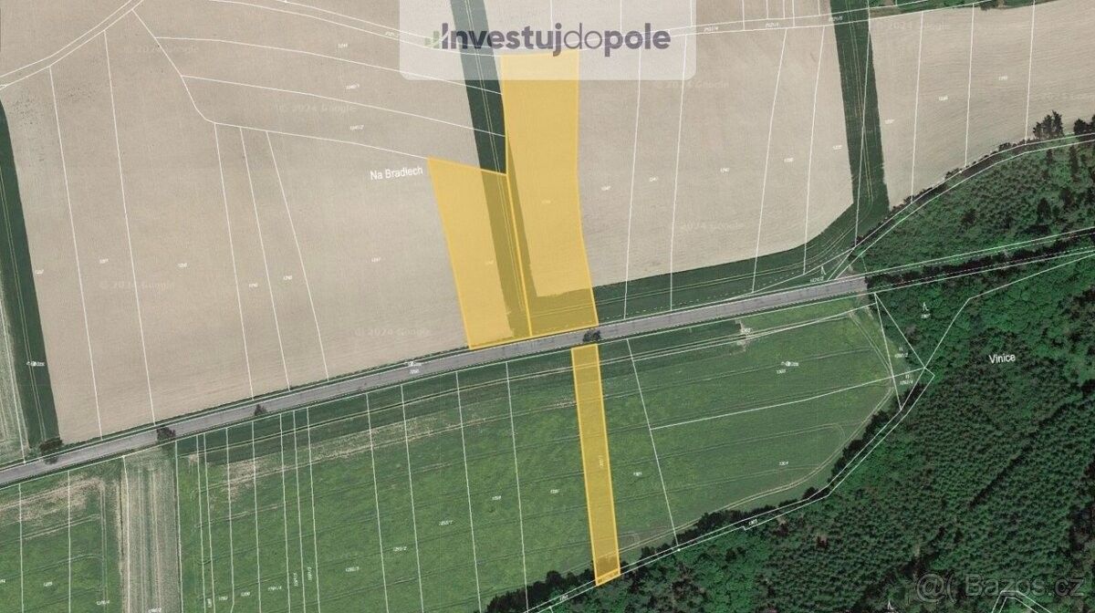 Prodej zemědělský pozemek - Nové Město nad Metují, 549 01, 9 860 m²