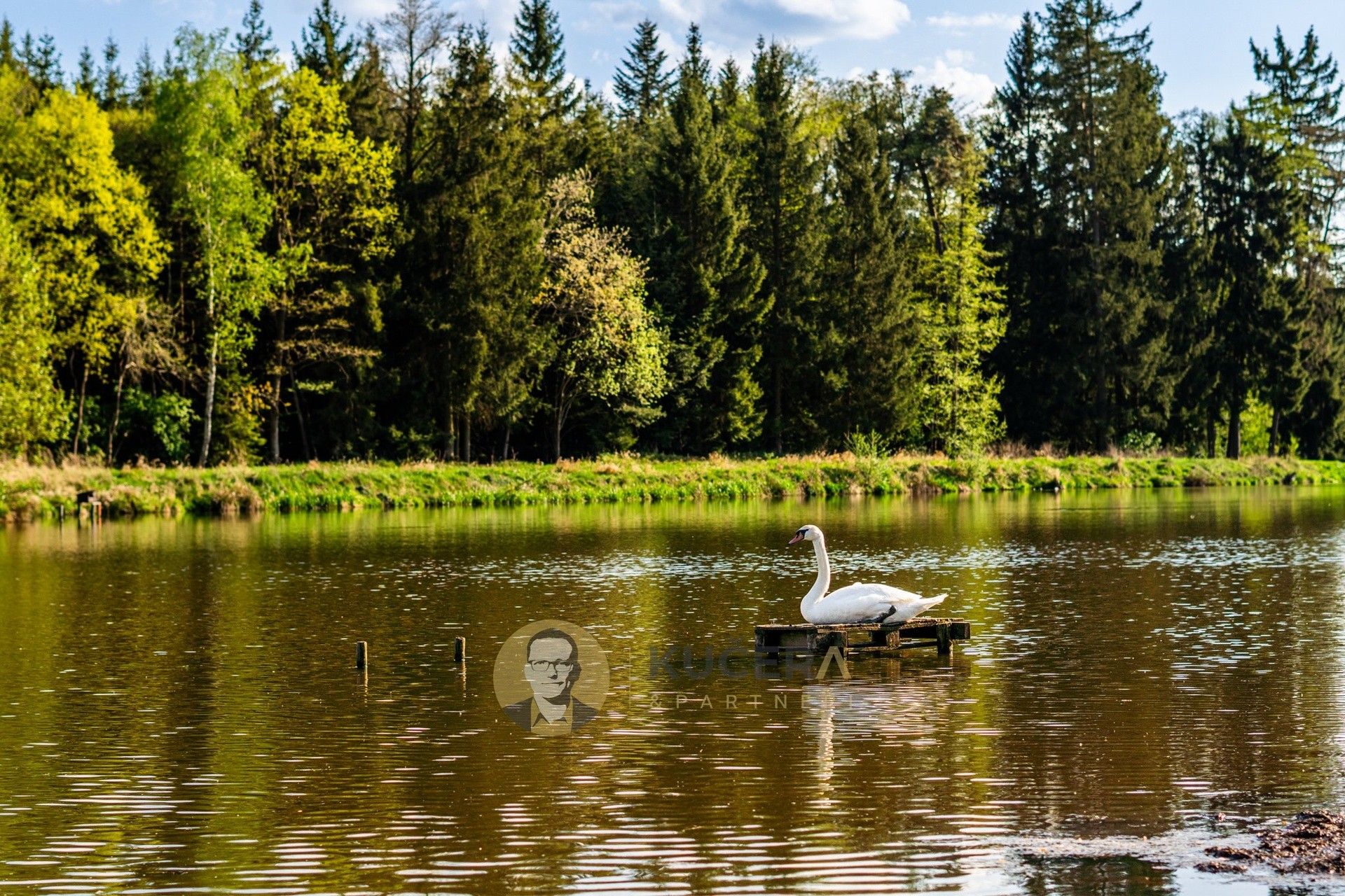 Rybník · Dlouhá Lhota - 4