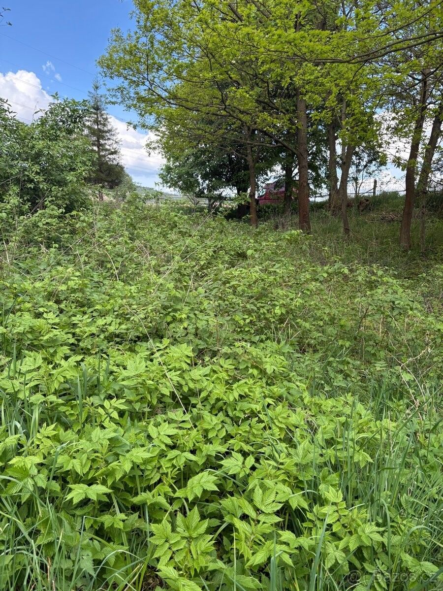 Ostatní, Hodkovice nad Mohelkou, 463 42 - 1