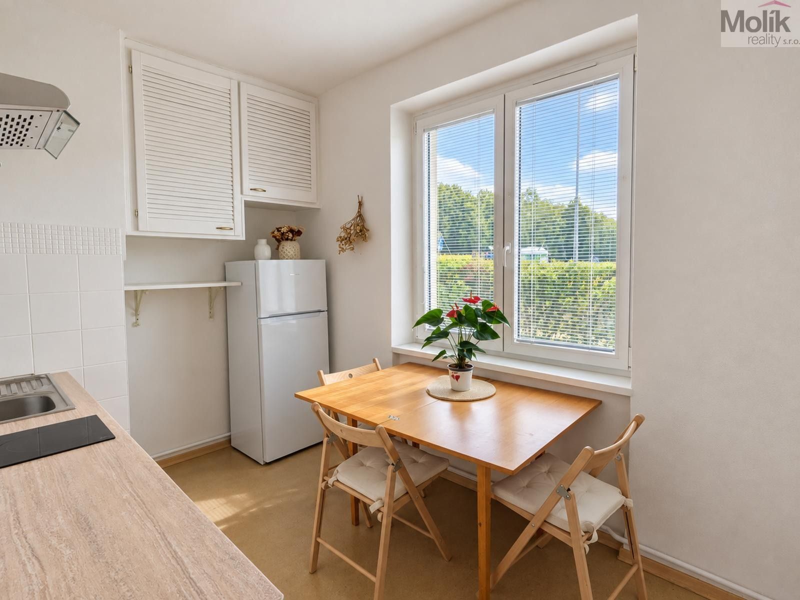 Pronájem byt 2+1 - Josefa Suka, Teplice, 49 m² - 5