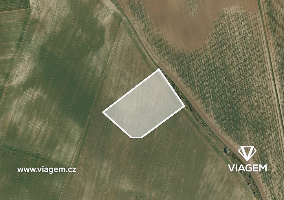 Zemědělský pozemek, 9 786 m²