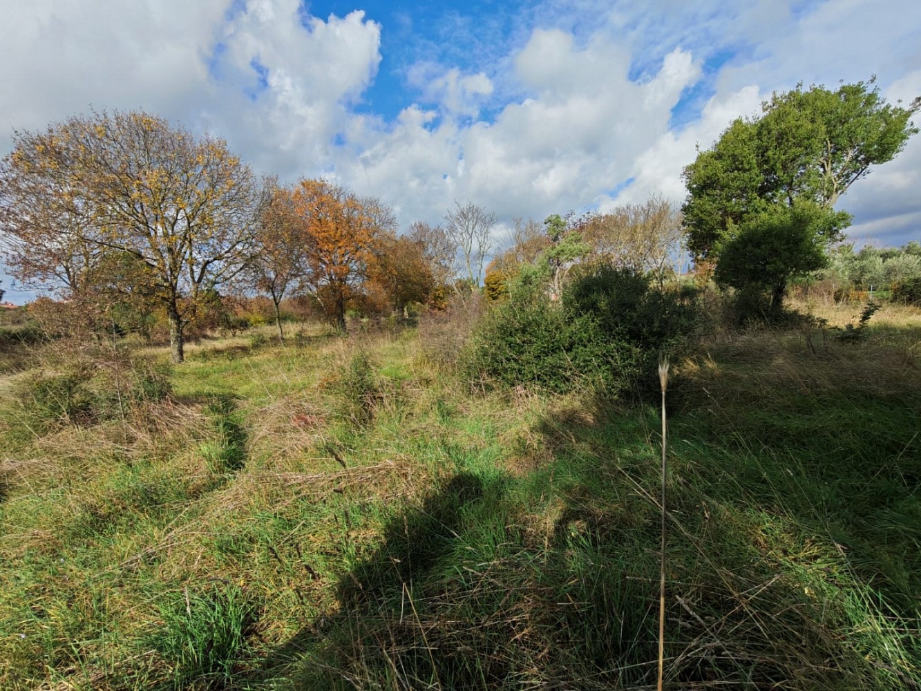 Zemědělský pozemek · Pula, Istarska županija, Chorvatsko - 3