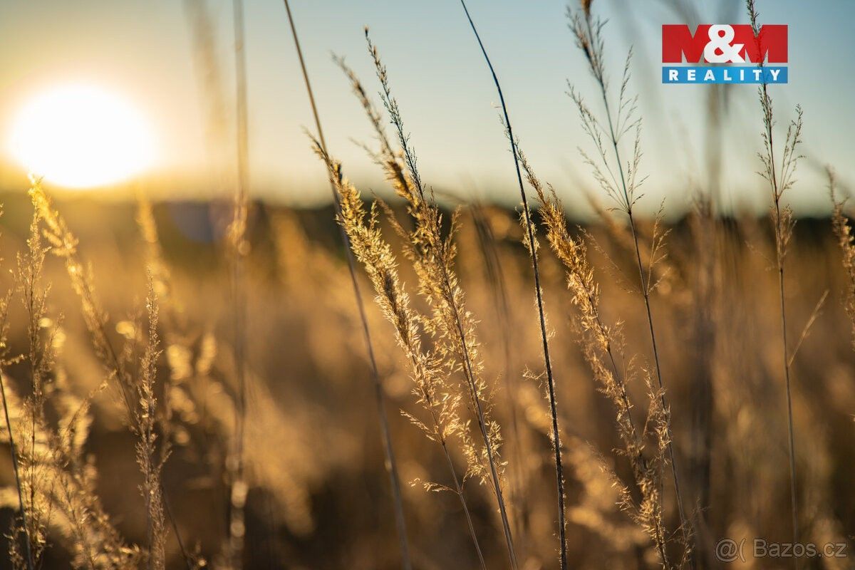 Prodej pozemek pro bydlení - Dobřany, 334 41