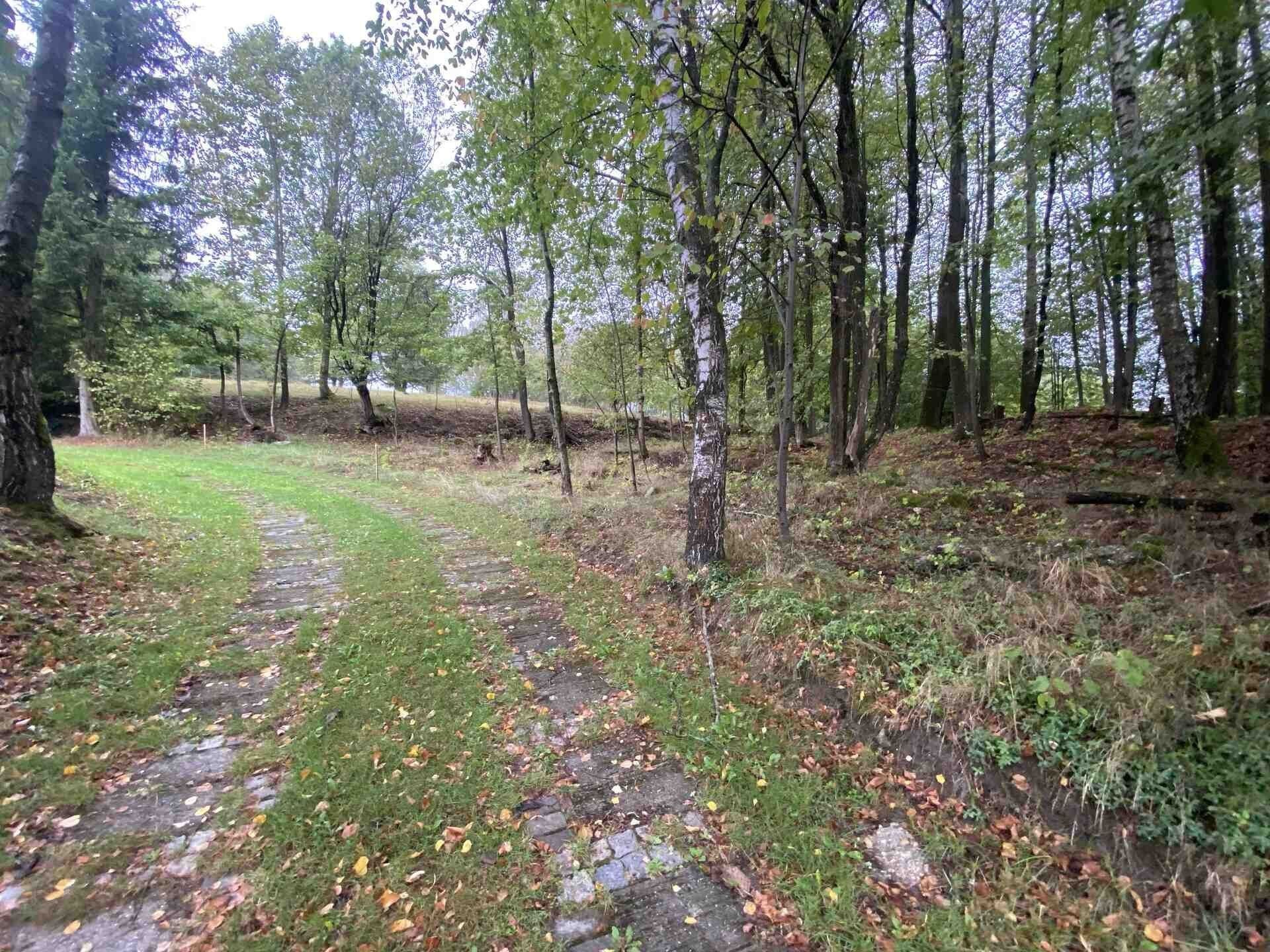 Pozemek pro bydlení · 3 849 m² · Benešov nad Černou Kuří - 4