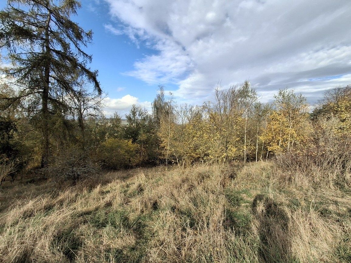 Prodej les - Semtěš, Pšov