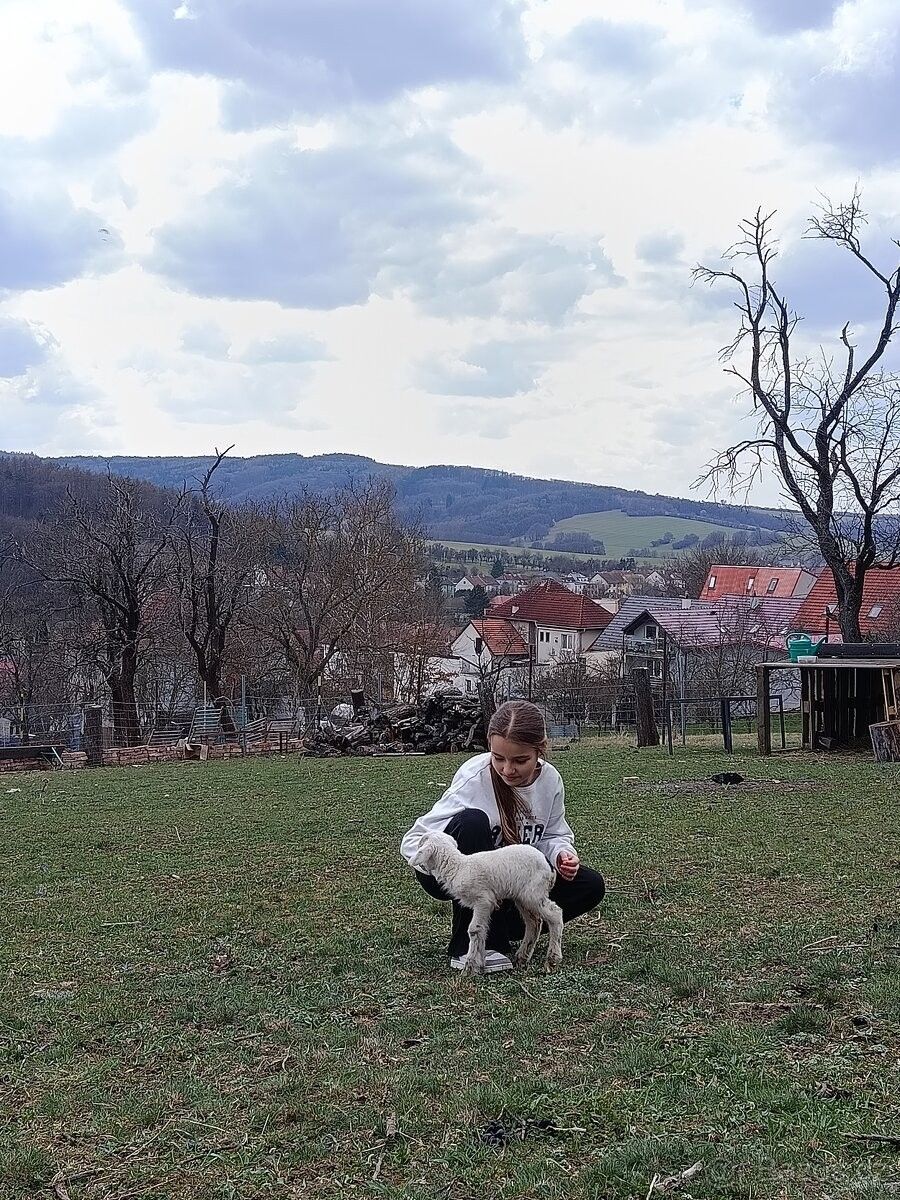 Pozemky pro bydlení, Bojkovice, 687 71 - 2