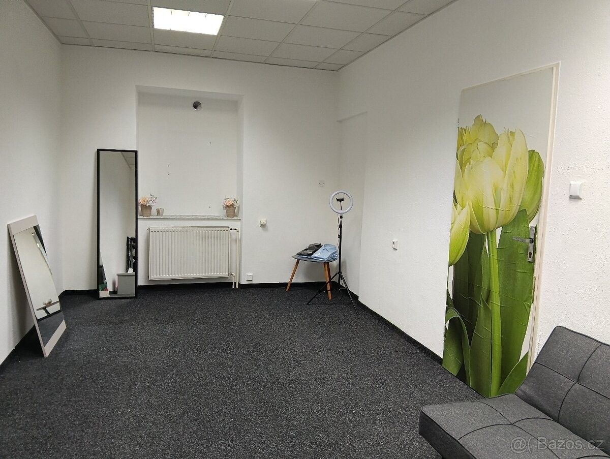 Obchodní prostory, Plzeň, 326 00 - 2