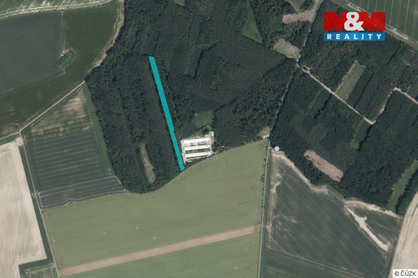 Les · Městec Králové, okres Nymburk, Středočeský kraj - 4
