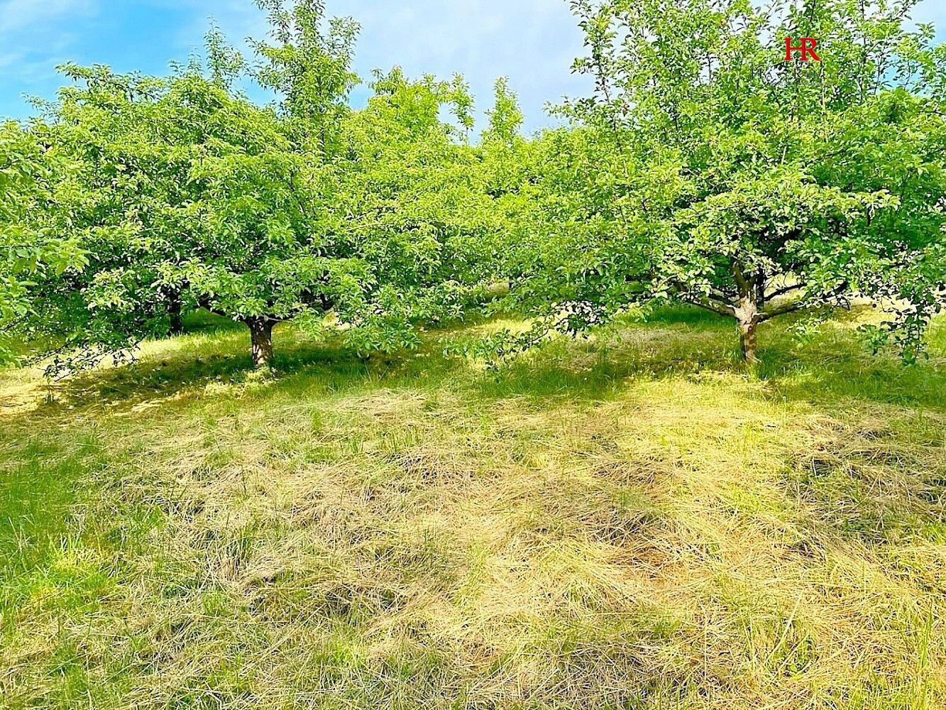 Pozemky pro bydlení, Načeradec, okres Benešov, Středočeský kraj - 2
