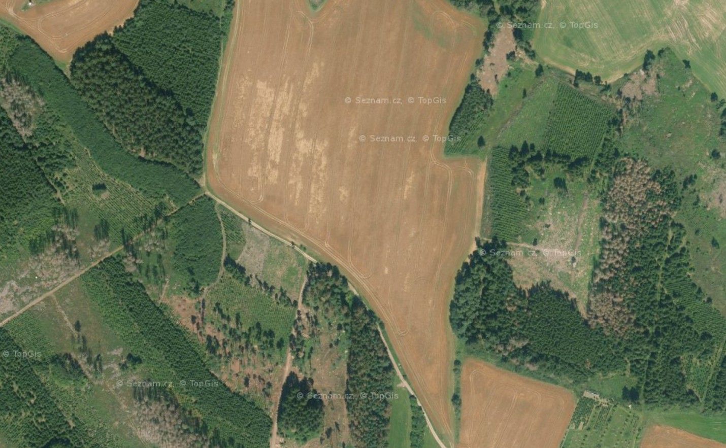 Prodej zemědělský pozemek - Dolní Bory, Bory, 26 550 m²