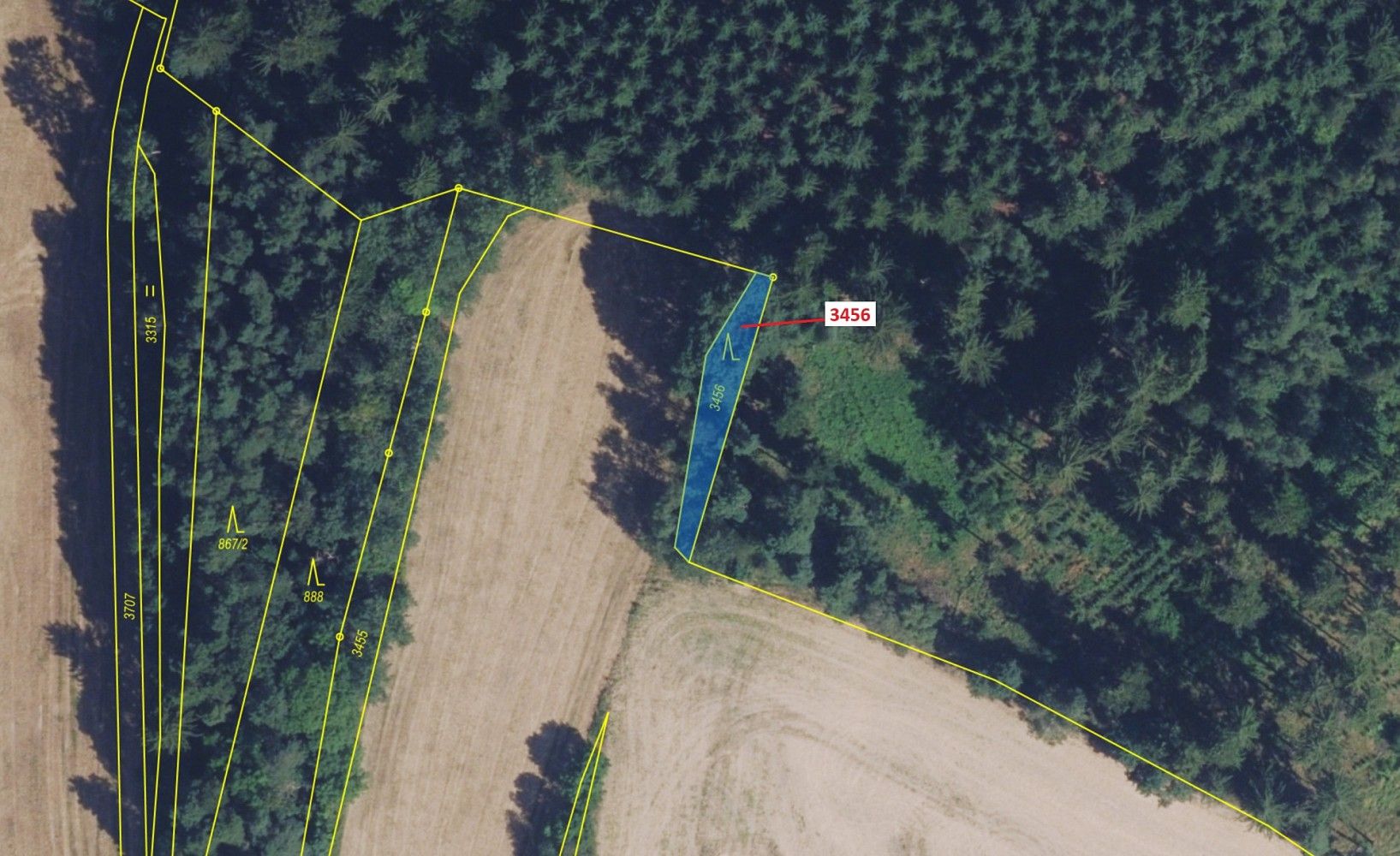 Prodej les - Bělá nad Svitavou, okres Svitavy, Pardubický kraj - 2
