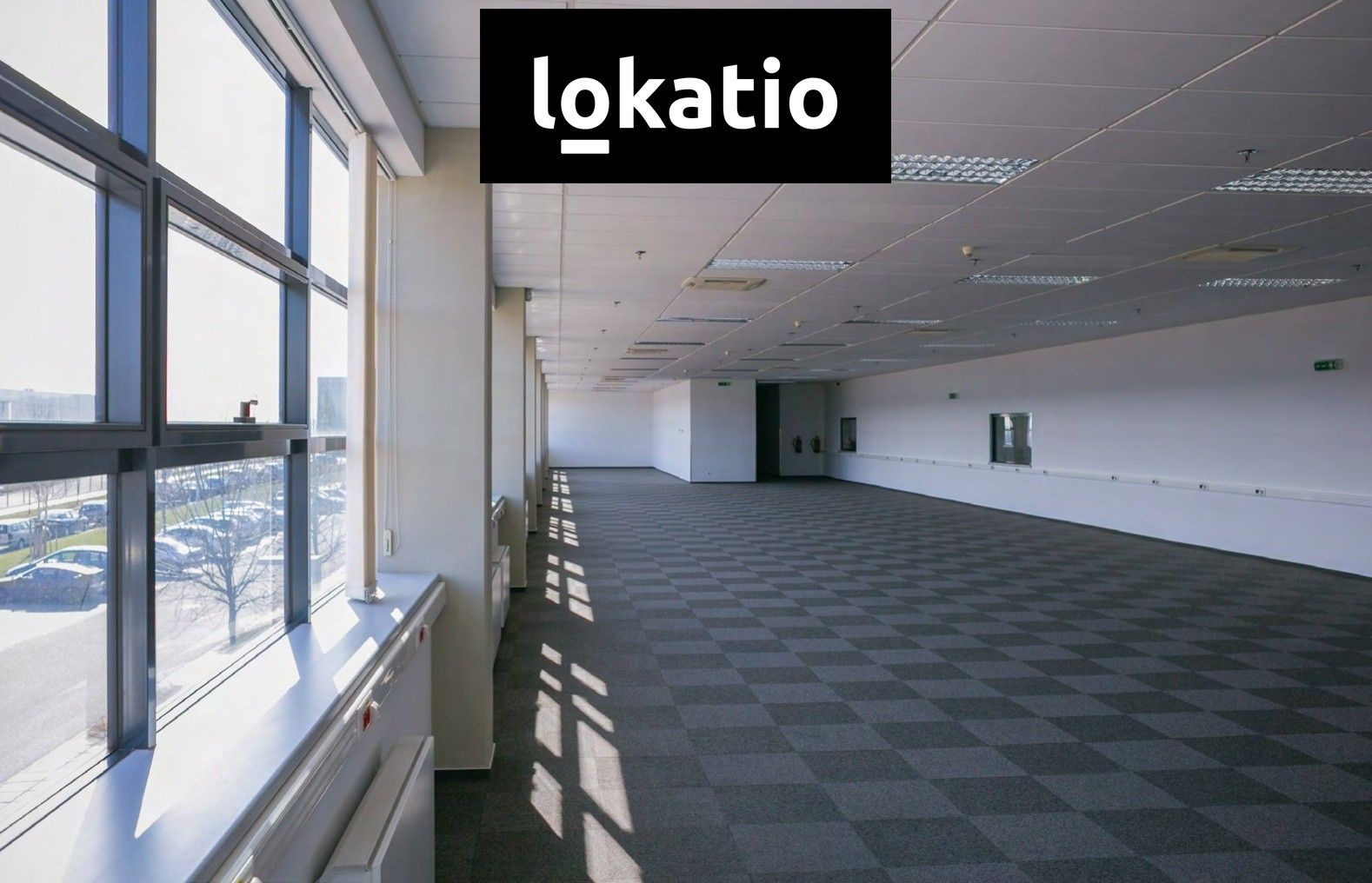 Pronájem sklad - Ovčáry, 3 500 m² - 5
