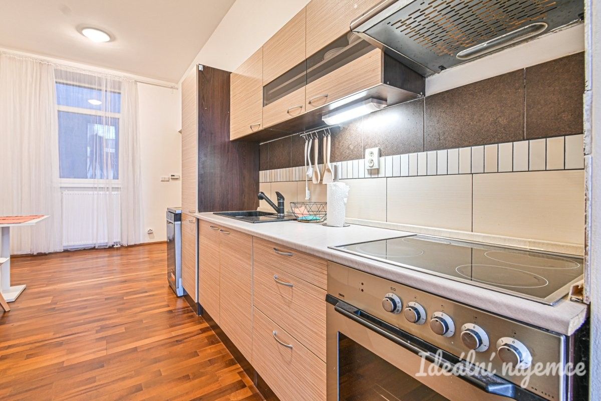 Pronájem byt 1+1 - Francouzská, Brno, 48 m²