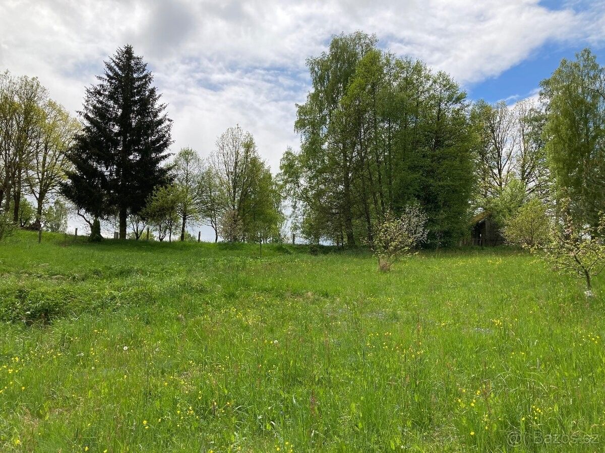 Prodej pozemek pro bydlení - Nová Včelnice, 378 42