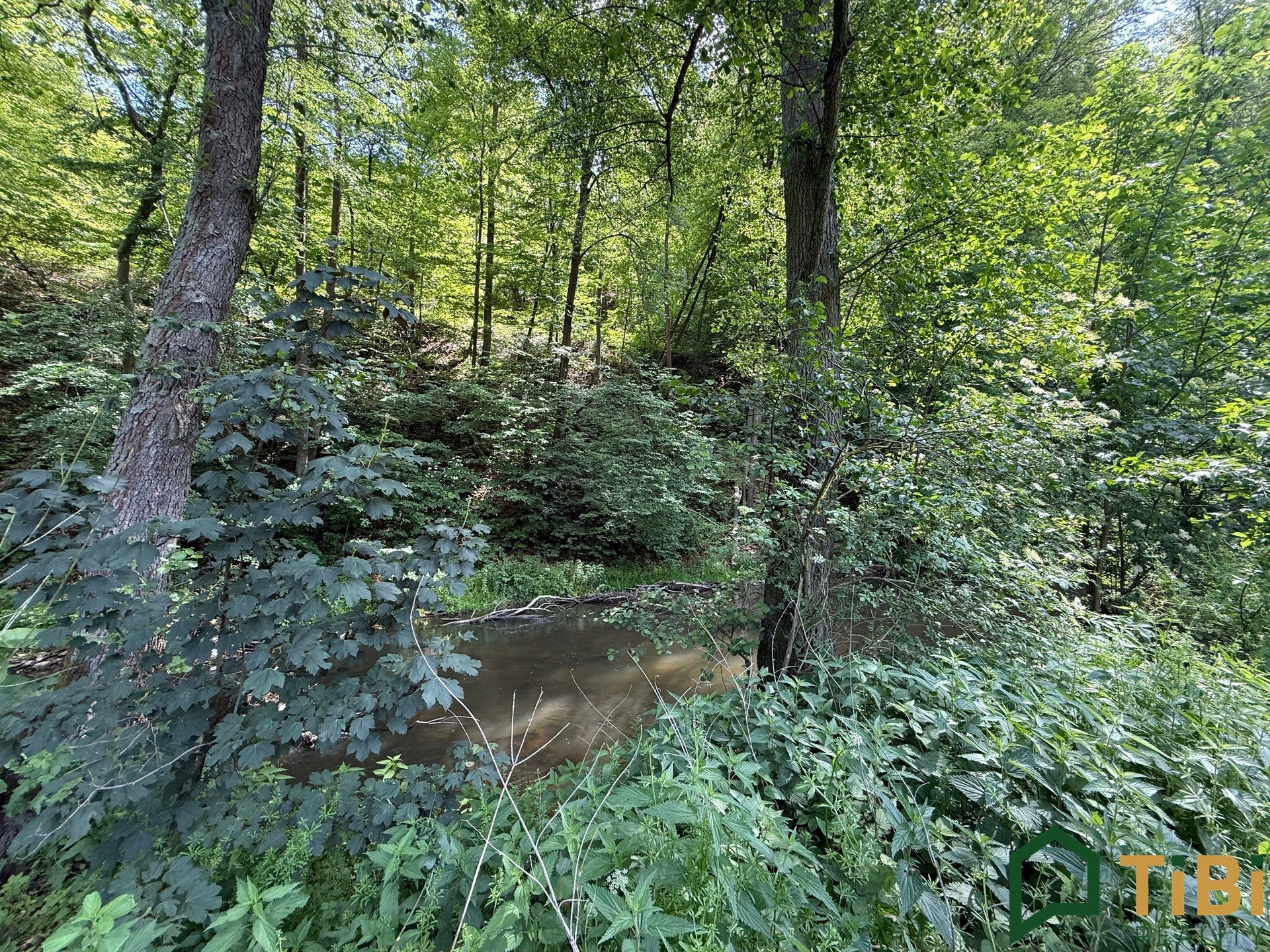 Louka · 3 200 m² · Bílovice nad Svitavou - 3
