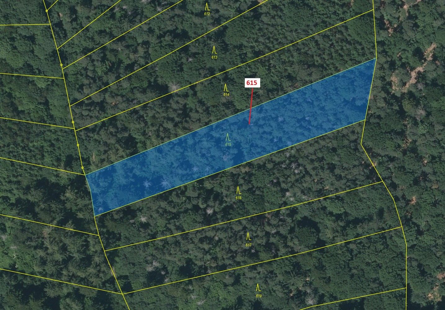 Prodej les - Budětice, okres Klatovy, Plzeňský kraj - 2