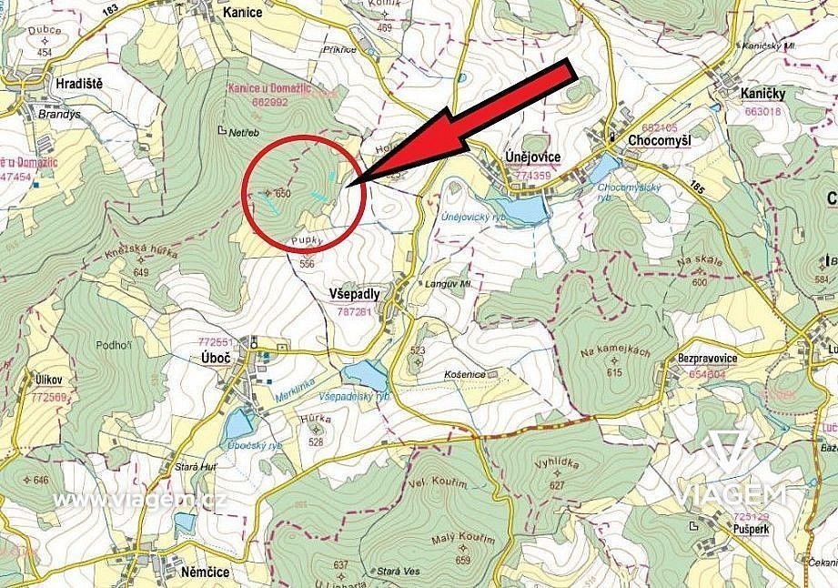 Les · Všepadly, okres Domažlice, Plzeňský kraj - 4
