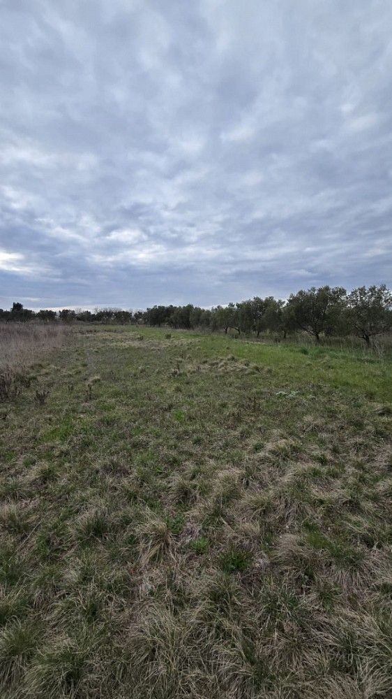 Pozemek pro bydlení, 2 547 m²
