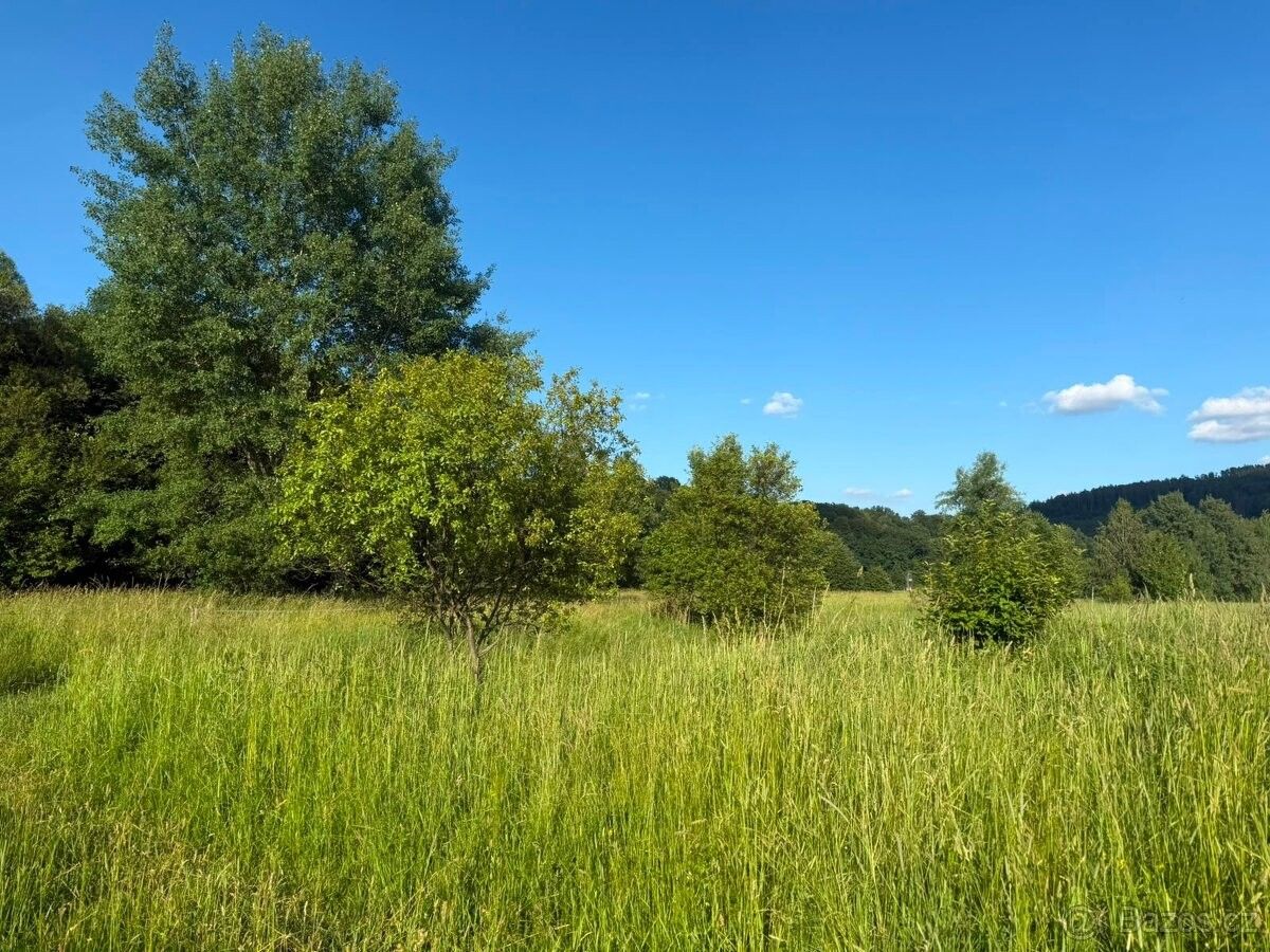 Prodej pozemek pro bydlení - Mikulovice u Jeseníku, 790 84 - 5