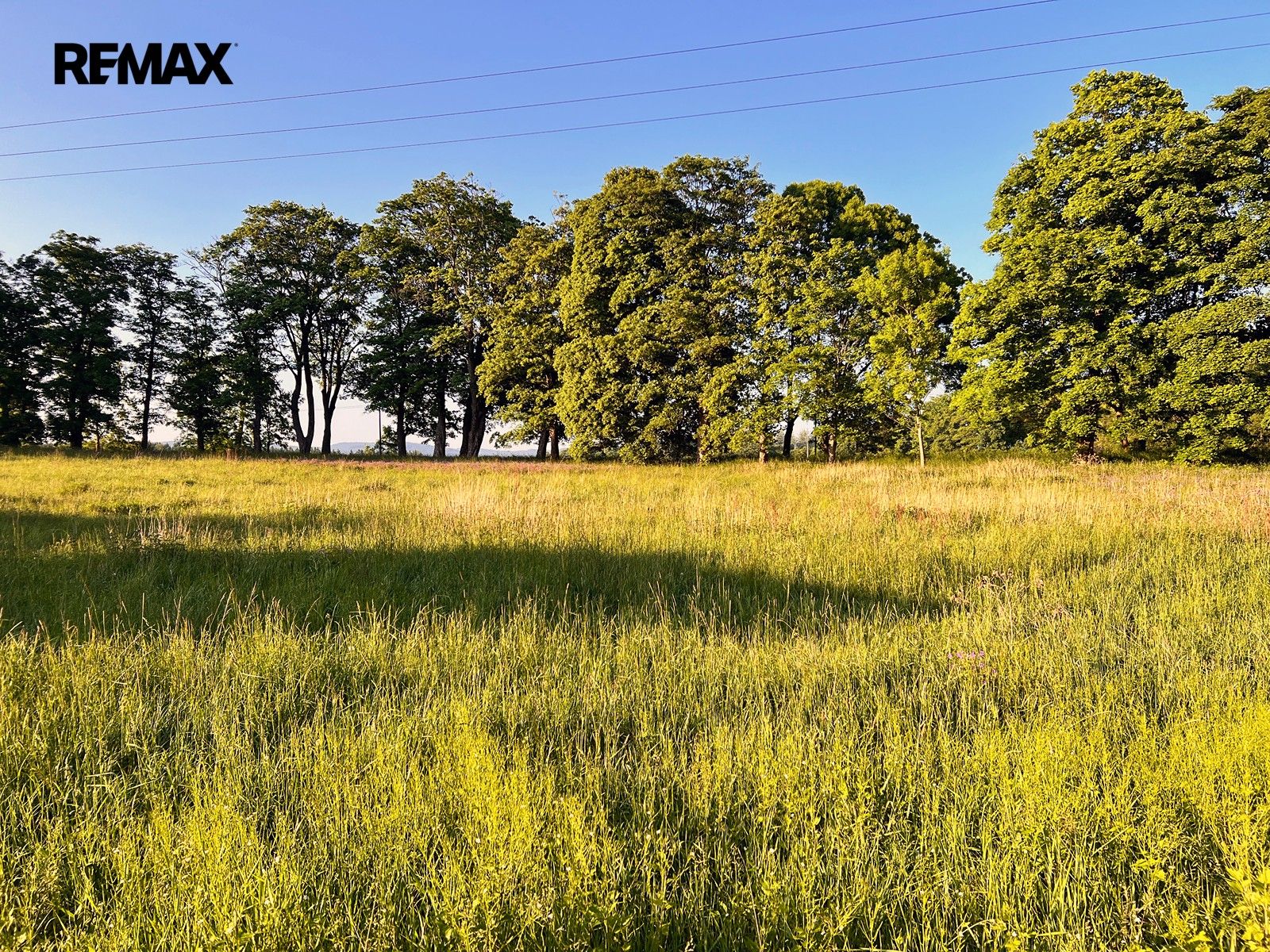 Louka · 7 210 m² · Jindřichovice - 3