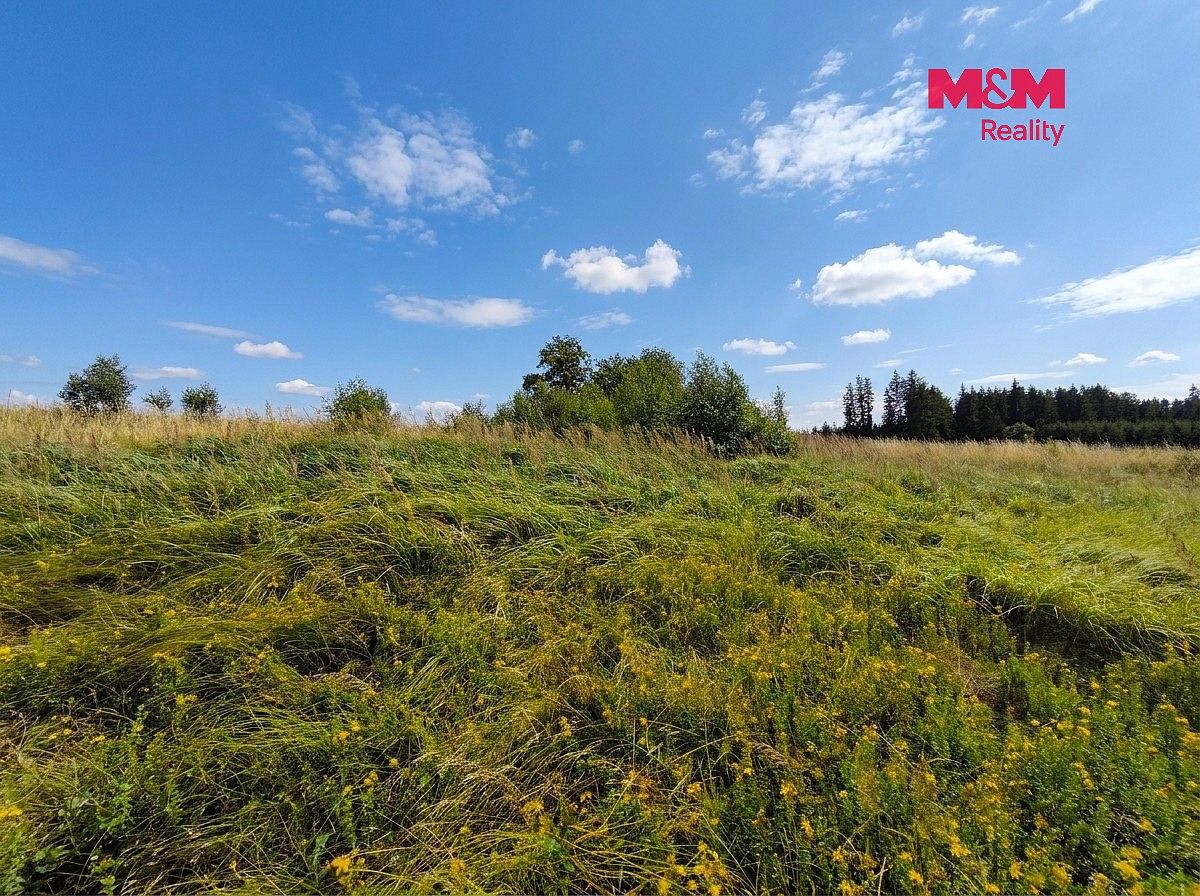 Louka · Mikuleč, okres Svitavy, Pardubický kraj - 4