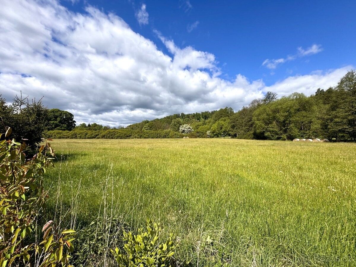 Prodej zemědělský pozemek - Planá u Mariánských Lázní, 348 15, 46 428 m²