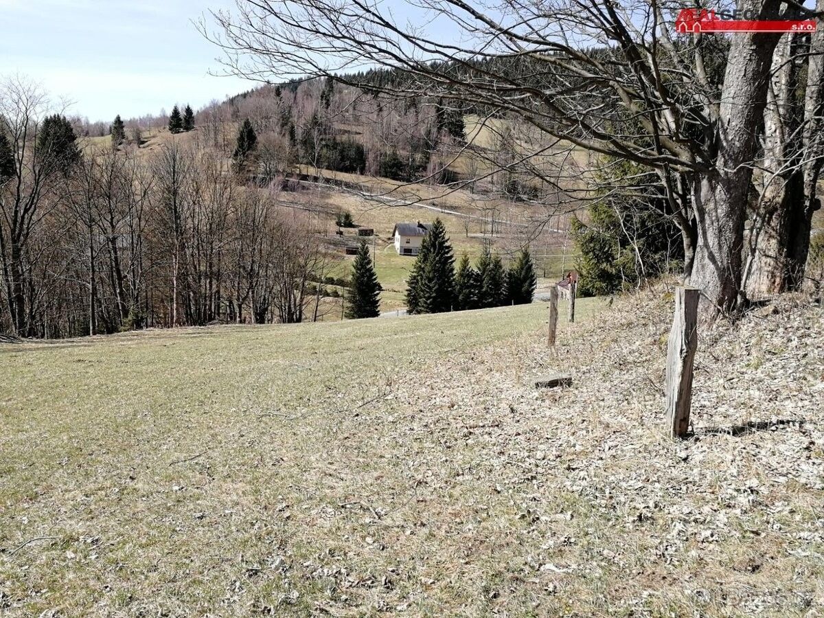 Nemovitost · Staré Město pod Sněžníkem, 788 32 - 4