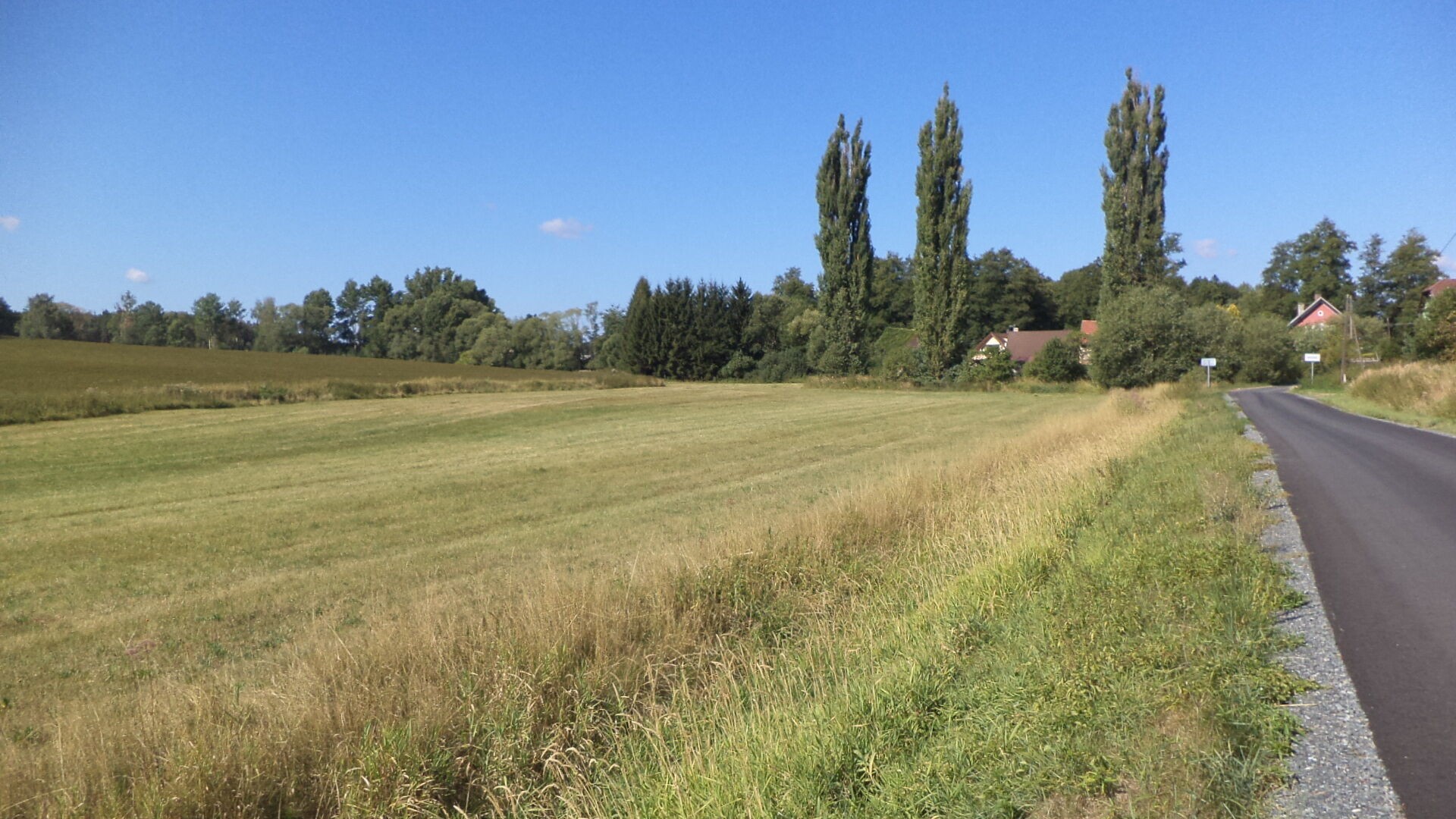 Zemědělské pozemky, Srby, 2 383 m² - 1