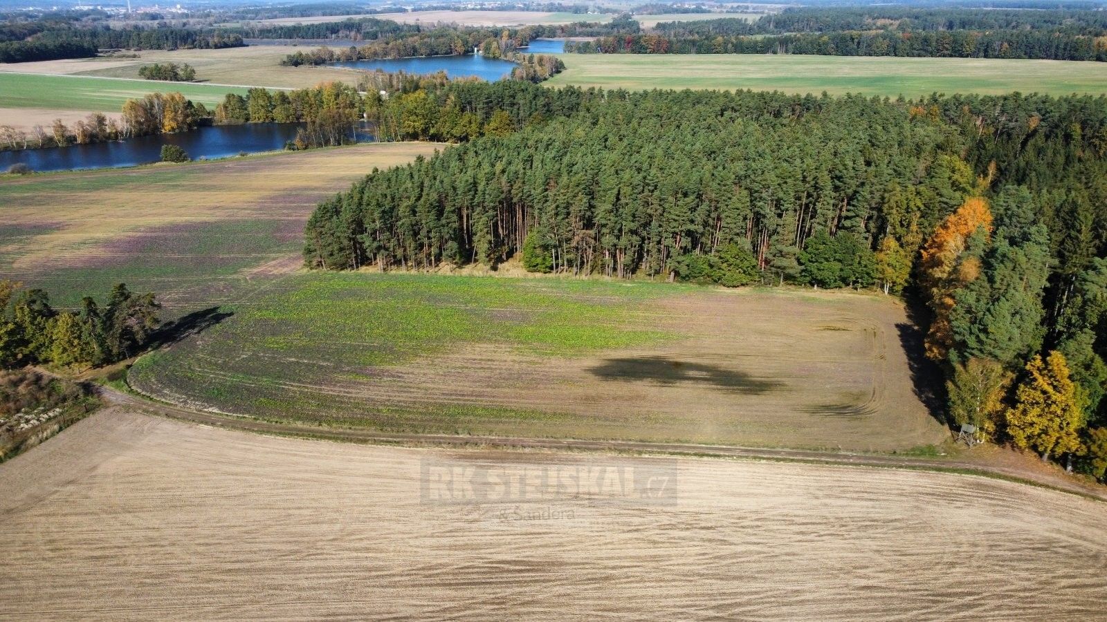 Zemědělský pozemek · 49 992 m² · Řípec - 3
